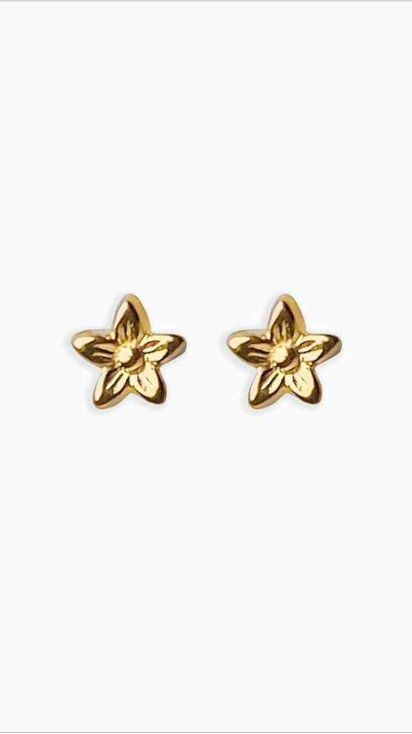 Gold star studs